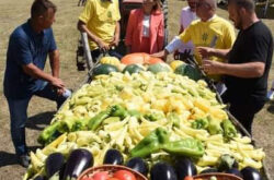 AgroFesta