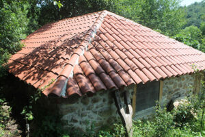 Valavica dhe Mulliri 1