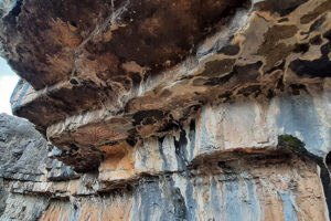 Pikturimet shkëmbore te Guva e Mrrizit (Unike në Kosovë) 5