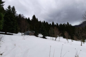 Maja e Pashallorës (Pashallare) 1