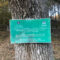 Trungjet e dushkut (Quercus sp.) në Breshanc 3
