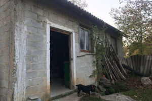 Mulliri I familjes Bytyqi Shek. XIX Breshanc, Suhareke 1
