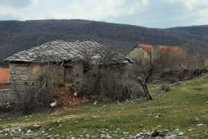 MAL09c_2022
