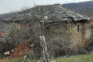 MAL09d_2022