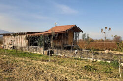 Agroferma 